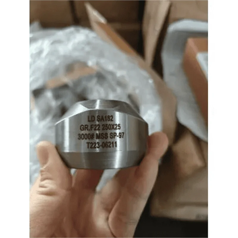 ASTM A182 F22 Chrome Moly Alloy Steel Weldolet